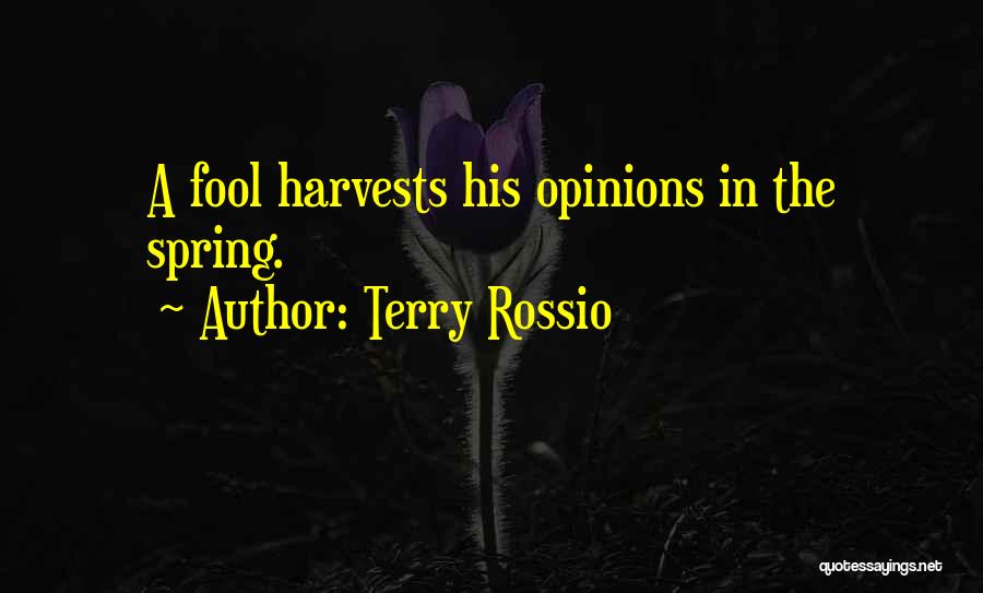 Terry Rossio Quotes 830459