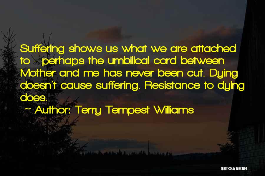 Terry Tempest Williams Quotes 1361481