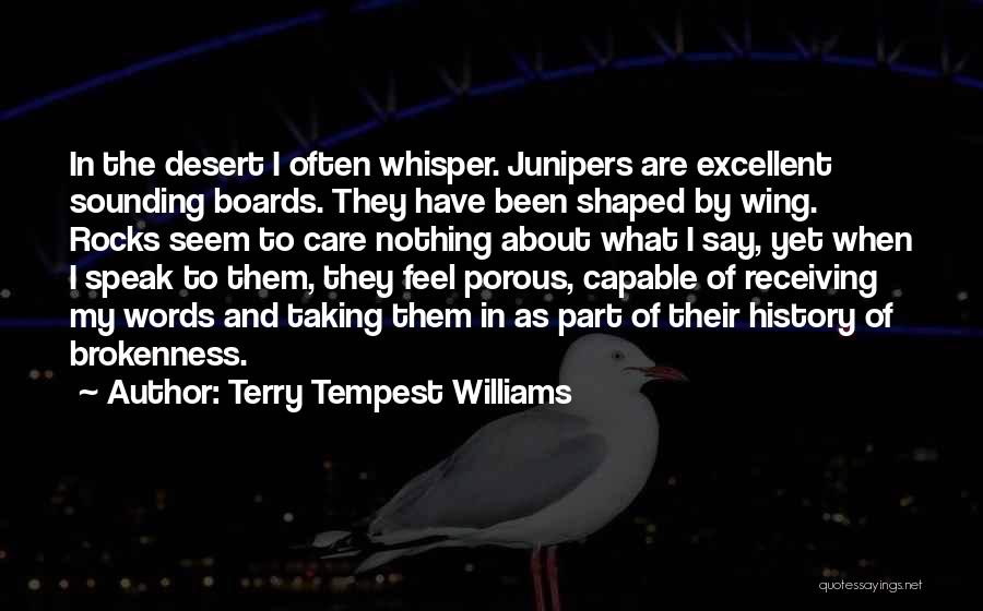 Terry Tempest Williams Quotes 1705712