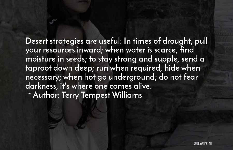 Terry Tempest Williams Quotes 633940