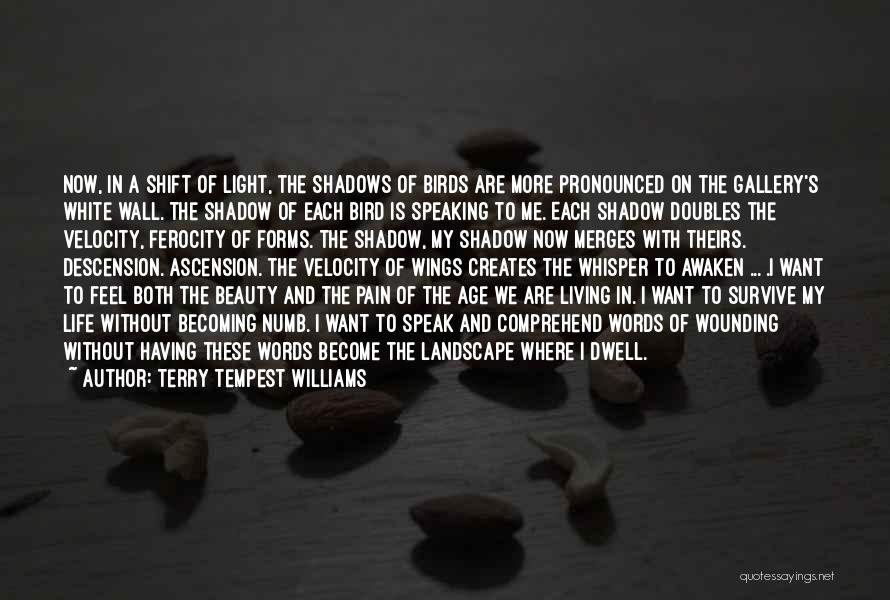 Terry Tempest Williams Quotes 652370