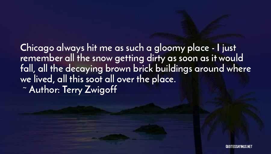 Terry Zwigoff Quotes 448574