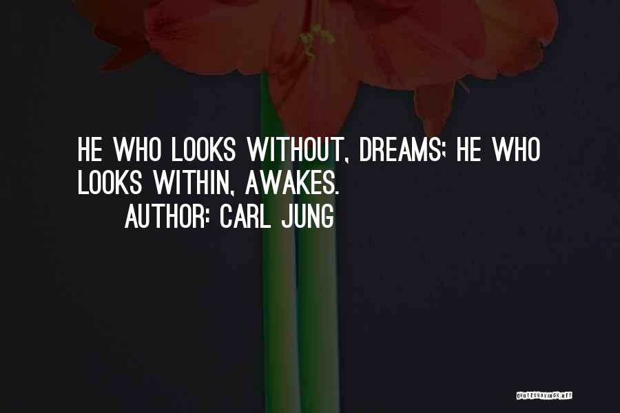 Terrylyn Quotes By Carl Jung