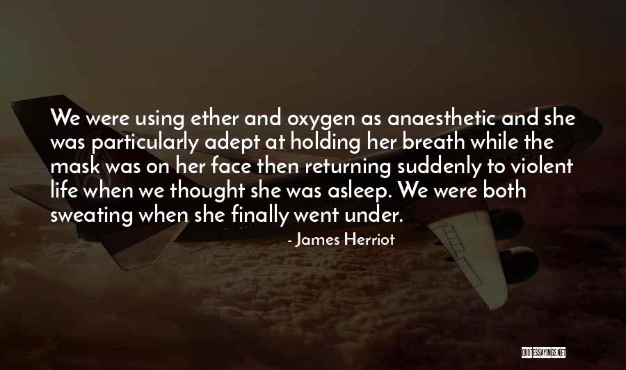 Tertera Kbbi Quotes By James Herriot Tertera Kbbi Quotes By James Herriot