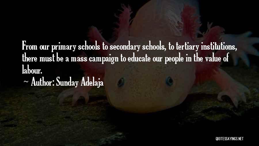 Tertiary Education Quotes By Sunday Adelaja