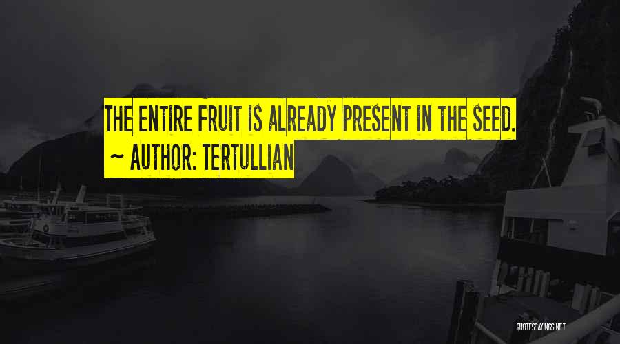 Tertullian Quotes 423240