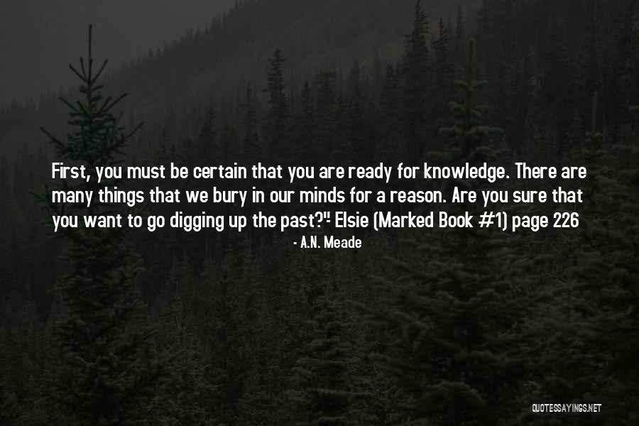Teruja Makna Quotes By A.N. Meade Teruja Makna Quotes By A.N. Meade