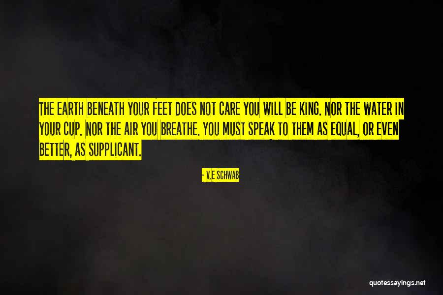 Terzic Kostadin Quotes By V.E Schwab Terzic Kostadin Quotes By V.E Schwab
