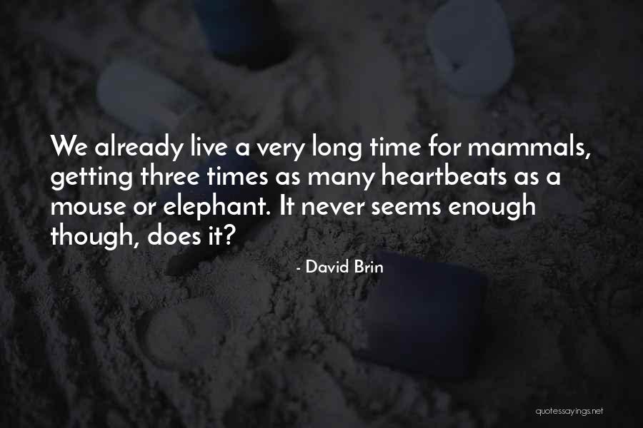 Tesei Petroleum Quotes By David Brin Tesei Petroleum Quotes By David Brin