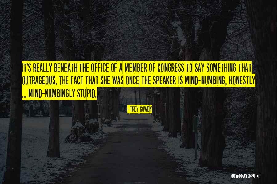 Tesfalem Woldeyes Quotes By Trey Gowdy Tesfalem Woldeyes Quotes By Trey Gowdy