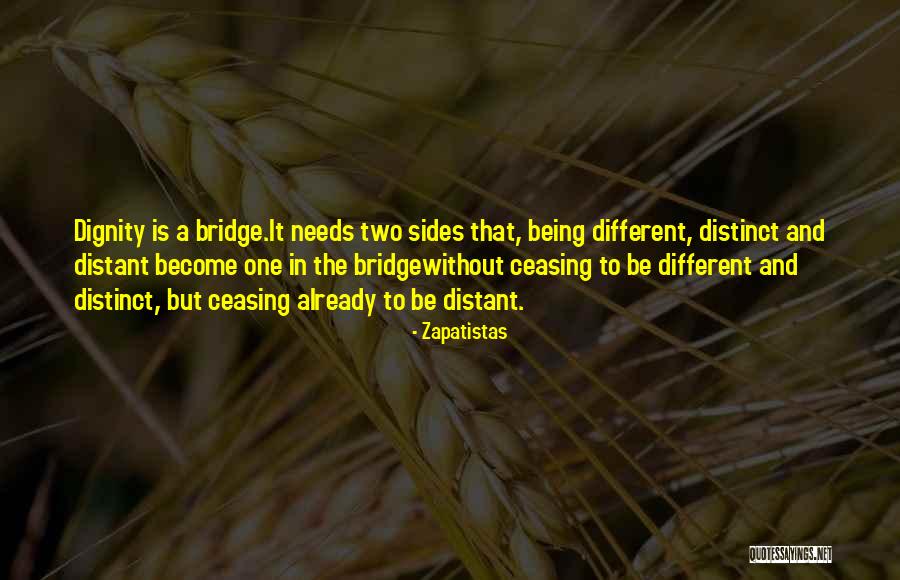 Tesia Marshik Quotes By Zapatistas Tesia Marshik Quotes By Zapatistas