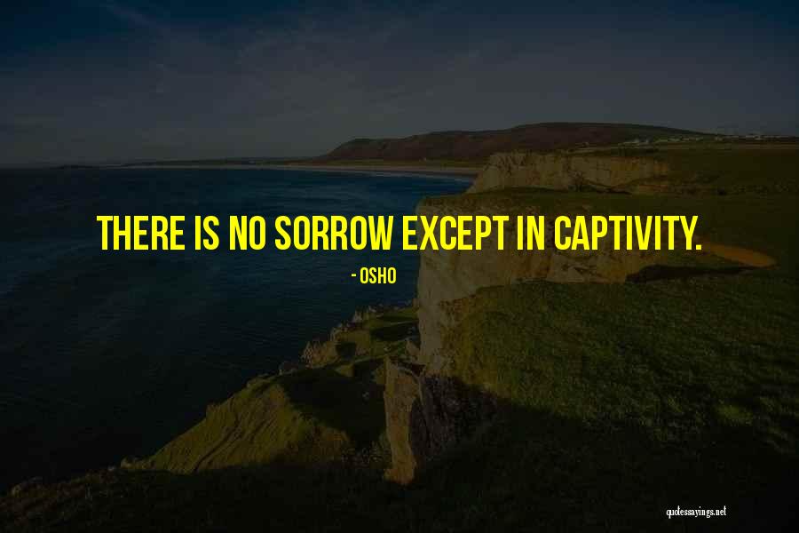 Tesmo Roadster Quotes By Osho Tesmo Roadster Quotes By Osho