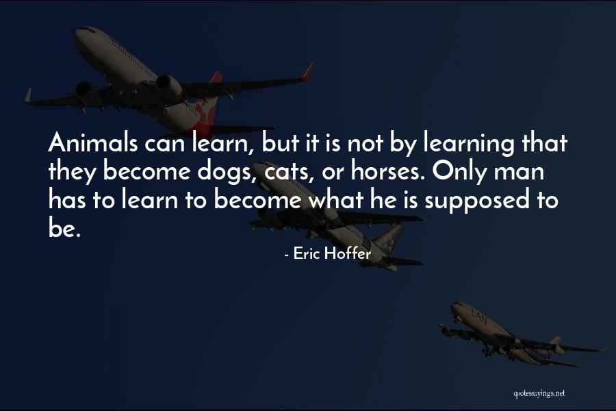 Tesoriero John Quotes By Eric Hoffer Tesoriero John Quotes By Eric Hoffer