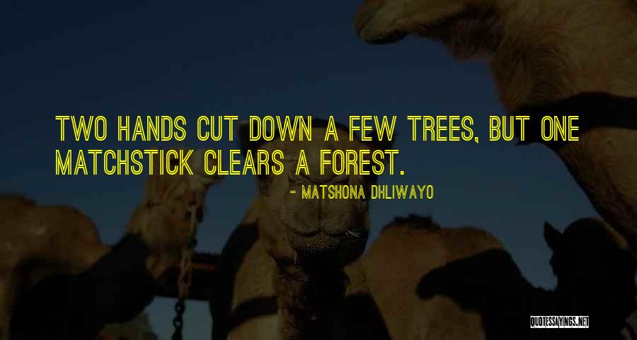 Tess And Woos Park Quotes By Matshona Dhliwayo