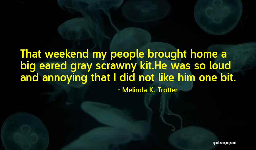 Tess Holliday Quotes By Melinda K. Trotter Tess Holliday Quotes By Melinda K. Trotter