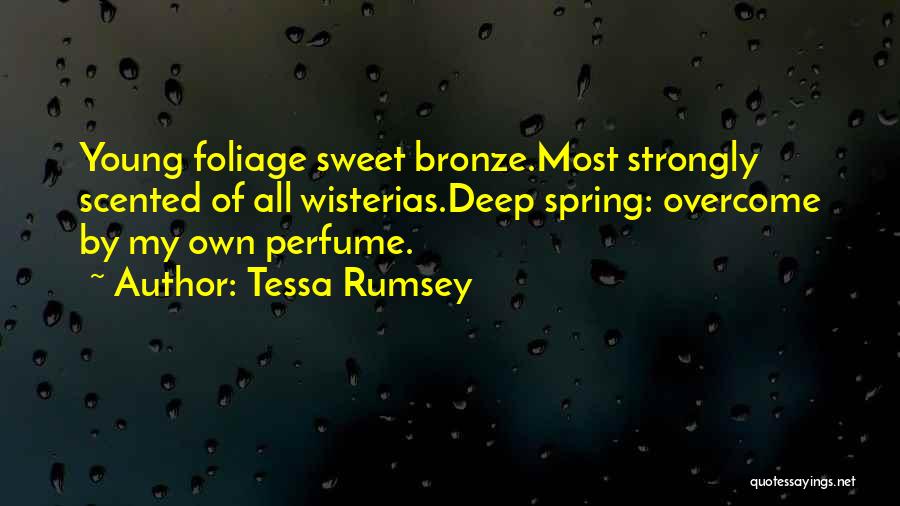 Tessa Rumsey Quotes 1563017