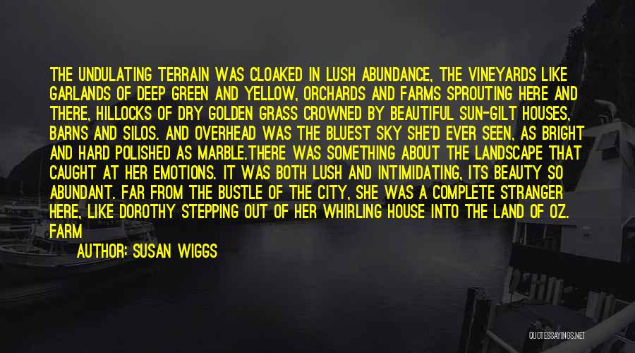 Tess's Beauty Quotes By Susan Wiggs