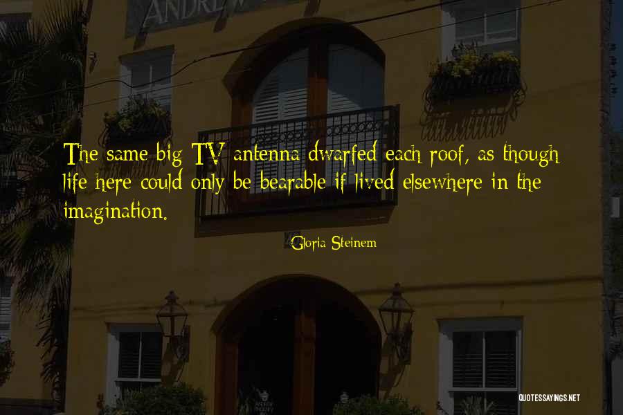 Tessuto Somerville Quotes By Gloria Steinem Tessuto Somerville Quotes By Gloria Steinem