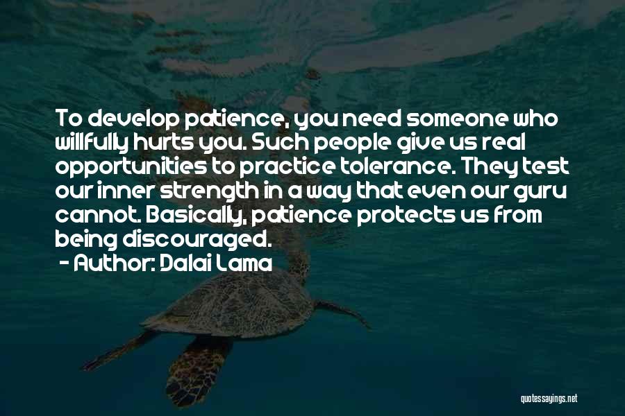 Test My Patience Quotes By Dalai Lama