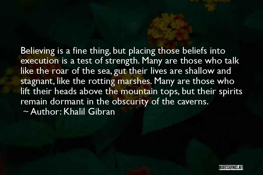 Test My Strength Quotes By Khalil Gibran