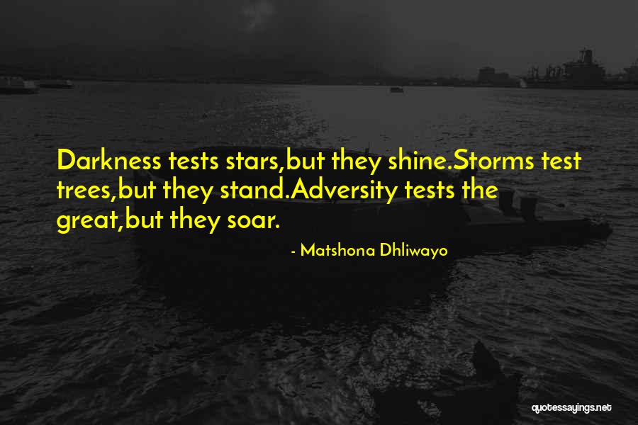 Test Test Quotes By Matshona Dhliwayo Test Test Quotes By Matshona Dhliwayo