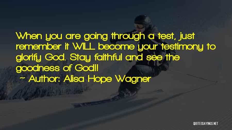 Test Testimony Quotes By Alisa Hope Wagner