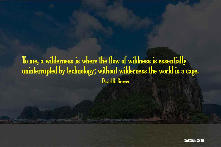 Testemunho De Ex Quotes By David R. Brower Testemunho De Ex Quotes By David R. Brower