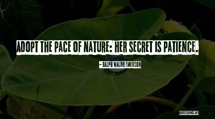 Tester Bed Quotes By Ralph Waldo Emerson Tester Bed Quotes By Ralph Waldo Emerson