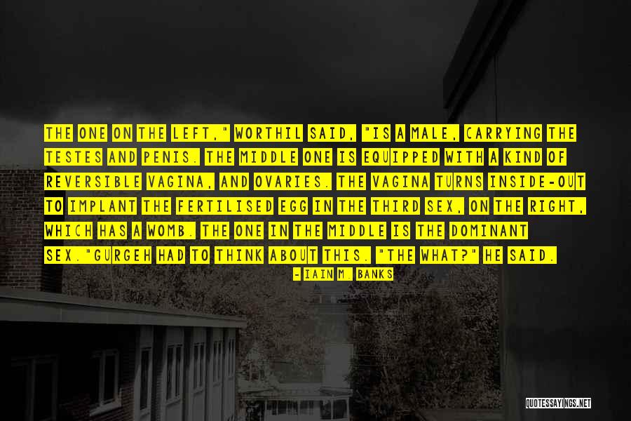 Testes Quotes By Iain M. Banks Testes Quotes By Iain M. Banks