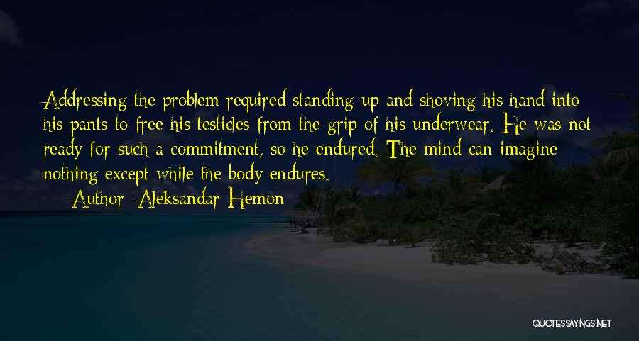 Testicles Quotes By Aleksandar Hemon