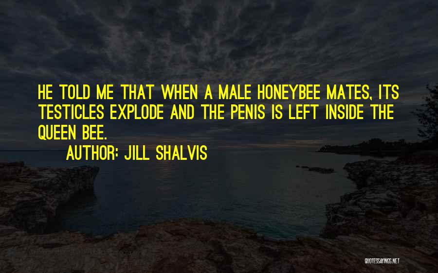 Testicles Quotes By Jill Shalvis