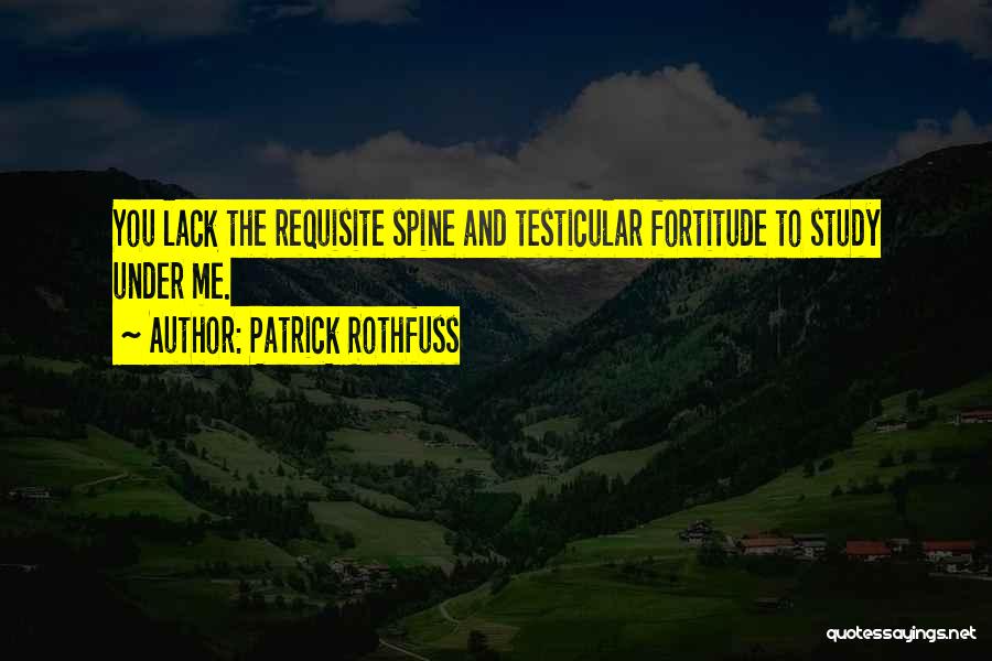 Testicular Quotes By Patrick Rothfuss