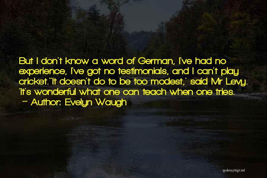 Testimonials Quotes By Evelyn Waugh