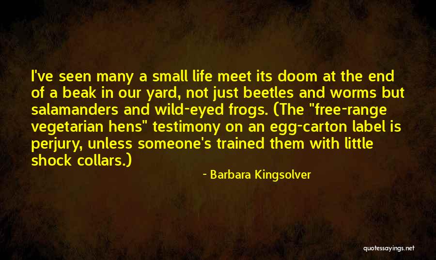 Testimony Of Life Quotes By Barbara Kingsolver Testimony Of Life Quotes By Barbara Kingsolver