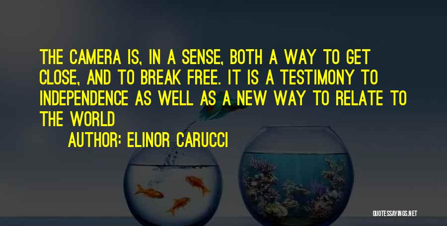 Testimony Quotes By Elinor Carucci