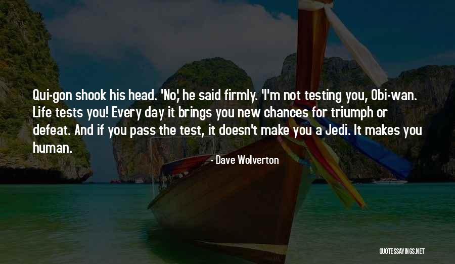 Testing Or Testing Quotes By Dave Wolverton Testing Or Testing Quotes By Dave Wolverton