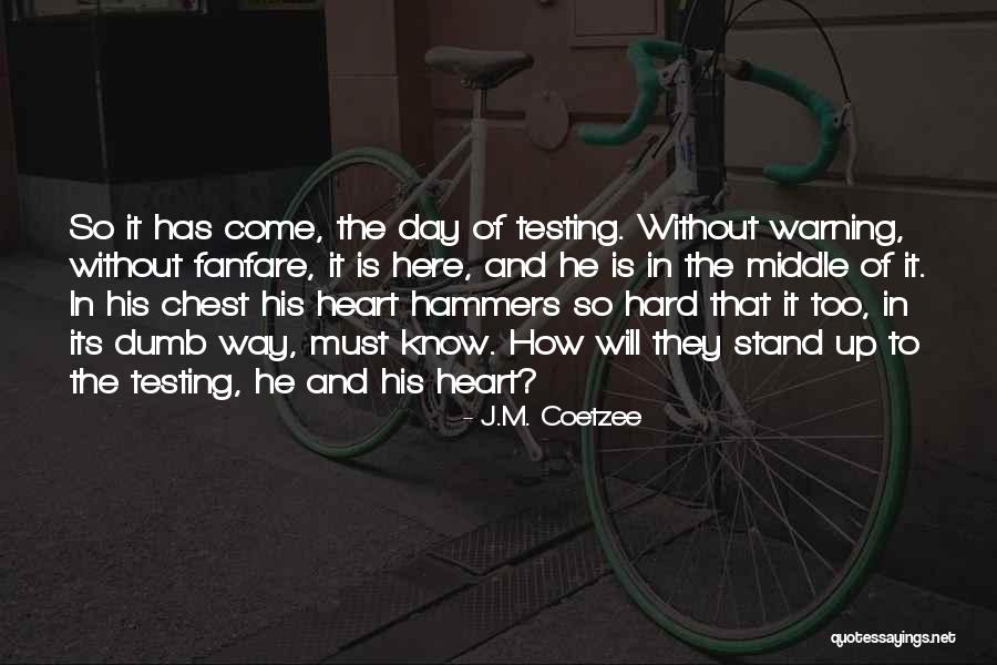 Testing Quotes By J.M. Coetzee