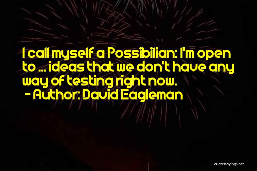 Testing Your Faith Quotes By David Eagleman