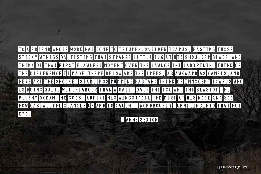 Testing Your Friend Quotes By Anne Sexton Testing Your Friend Quotes By Anne Sexton