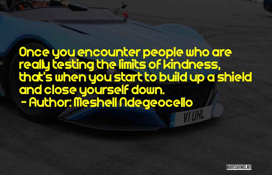 Testing Your Limits Quotes By Meshell Ndegeocello