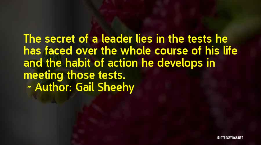Tests Quotes By Gail Sheehy