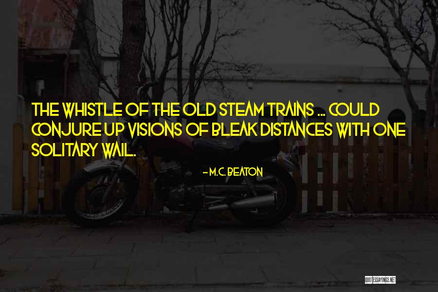 Testuggini Animali Quotes By M.C. Beaton Testuggini Animali Quotes By M.C. Beaton