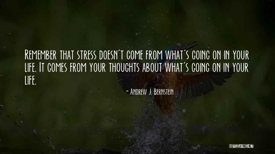 Tetangga Kok Quotes By Andrew J. Bernstein Tetangga Kok Quotes By Andrew J. Bernstein