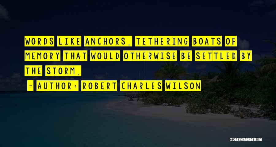 Tethering Quotes By Robert Charles Wilson