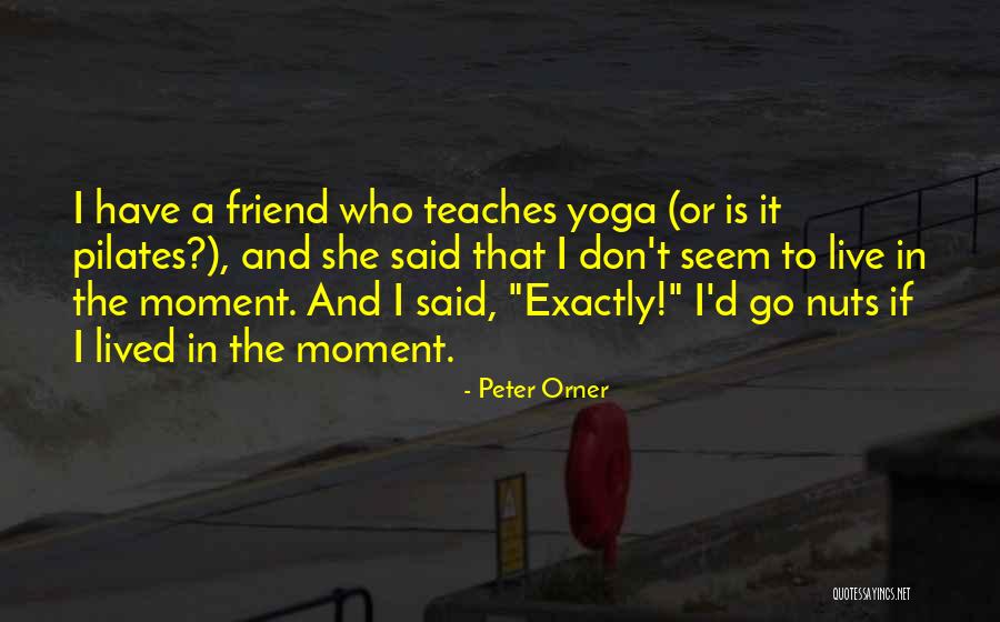 Tetrazzini Chicken Quotes By Peter Orner Tetrazzini Chicken Quotes By Peter Orner