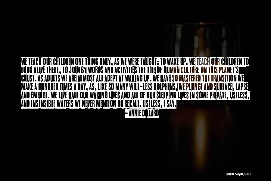 Tetsunosuke Gintama Quotes By Annie Dillard Tetsunosuke Gintama Quotes By Annie Dillard