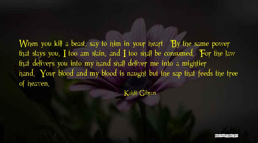 Tetsuyuki Maruyama Quotes By Kahlil Gibran Tetsuyuki Maruyama Quotes By Kahlil Gibran