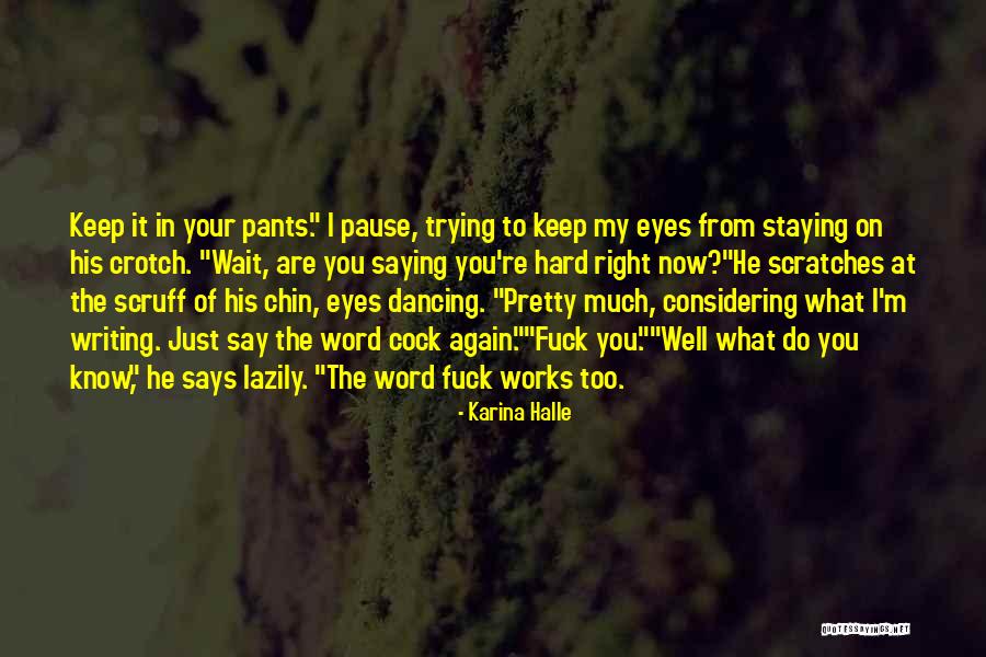 Tetsuyuki Maruyama Quotes By Karina Halle Tetsuyuki Maruyama Quotes By Karina Halle
