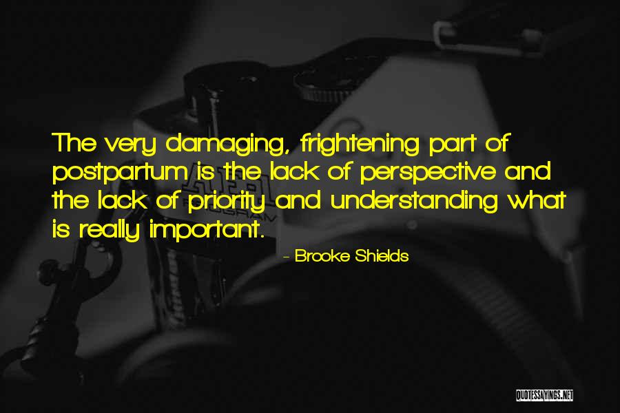 Tetterine Salve Quotes By Brooke Shields Tetterine Salve Quotes By Brooke Shields