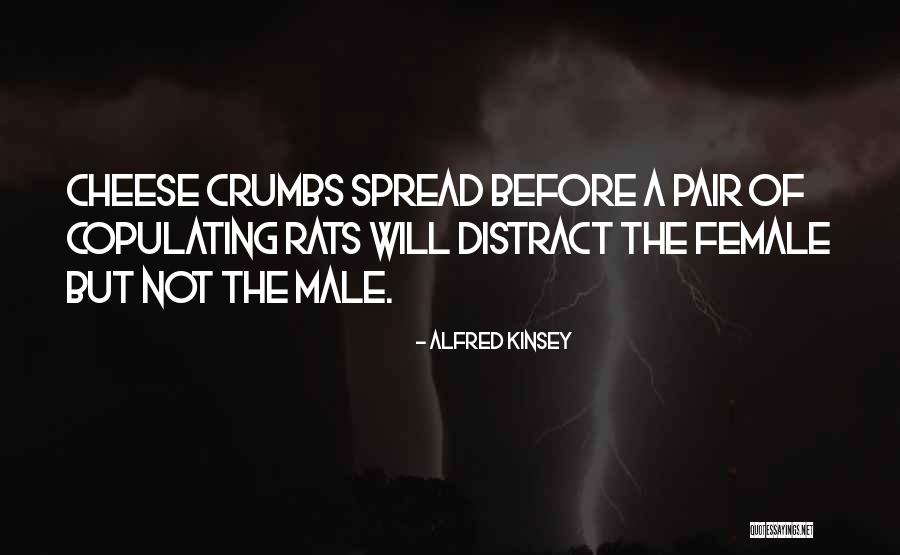 Tettleton Jersey Quotes By Alfred Kinsey Tettleton Jersey Quotes By Alfred Kinsey